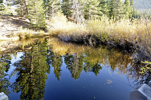 reflections at sprague lake at Rocky Mountain National Park